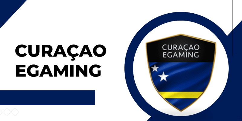 Cách xin giấy phép Curacao hợp lệ